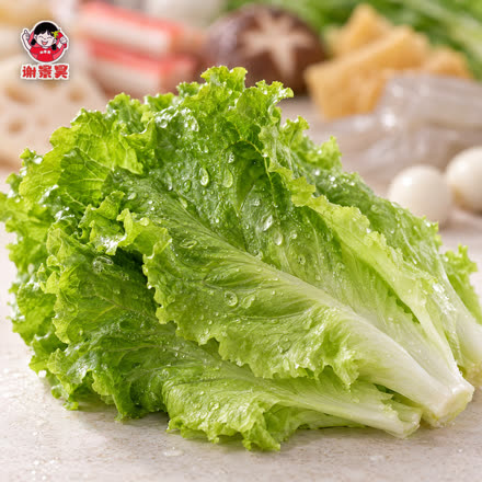 生菜
